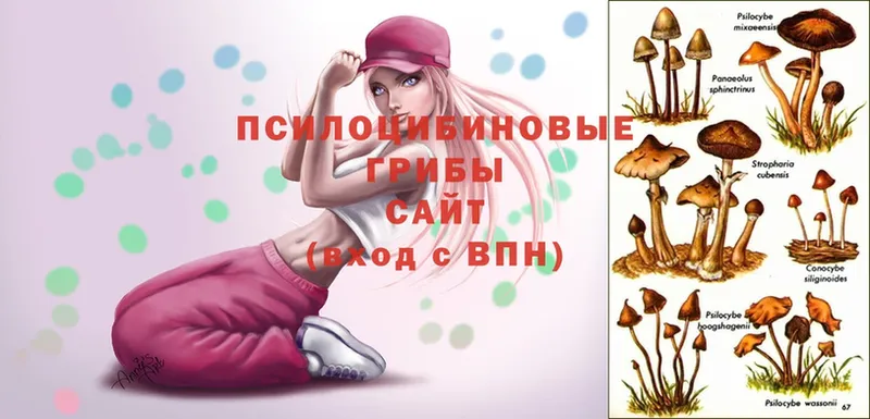 Галлюциногенные грибы Magic Shrooms  даркнет Telegram  Кущёвская 